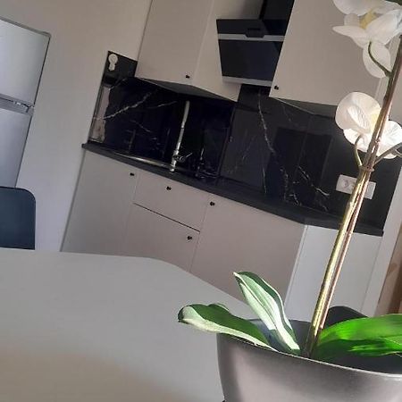 Apartma Ana Копер Екстер'єр фото
