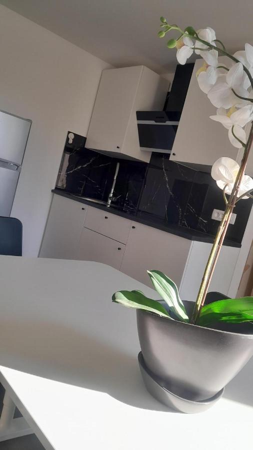 Apartma Ana Копер Екстер'єр фото